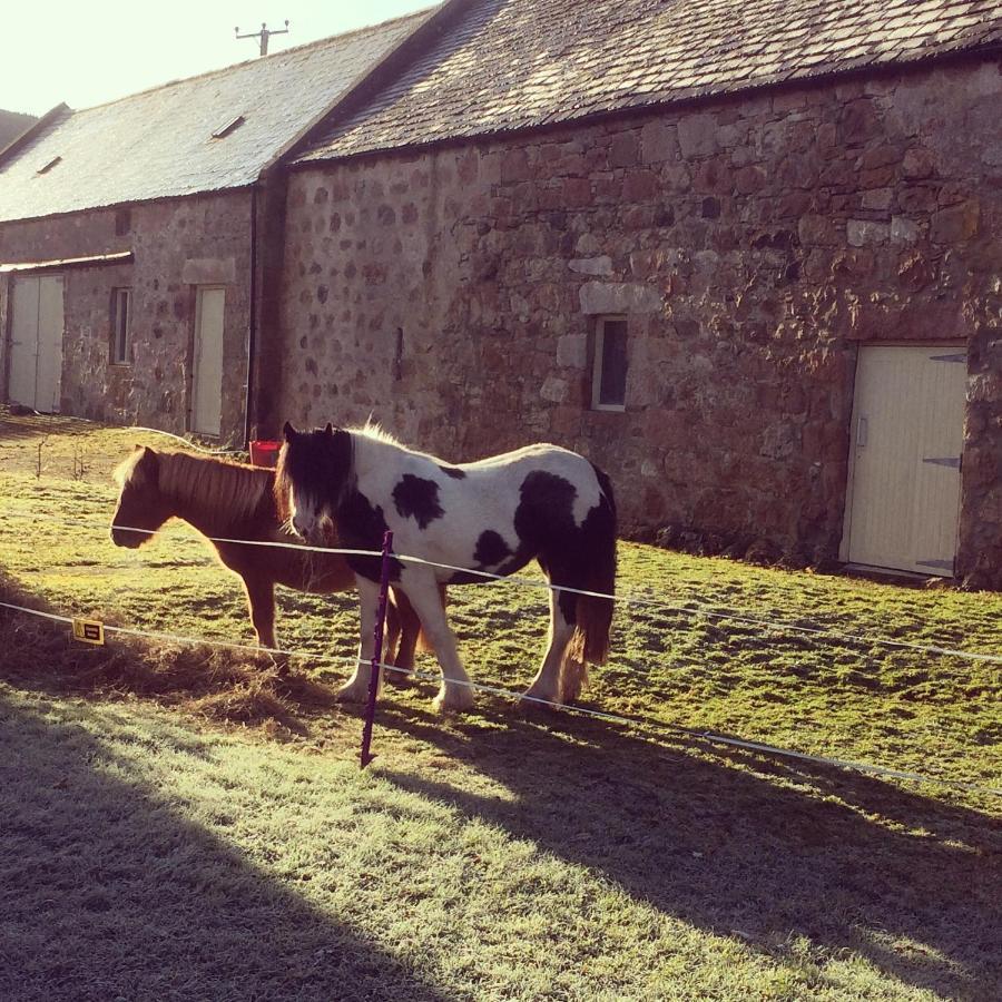 Bed and Breakfast Lettoch Farm Dufftown Exteriér fotografie